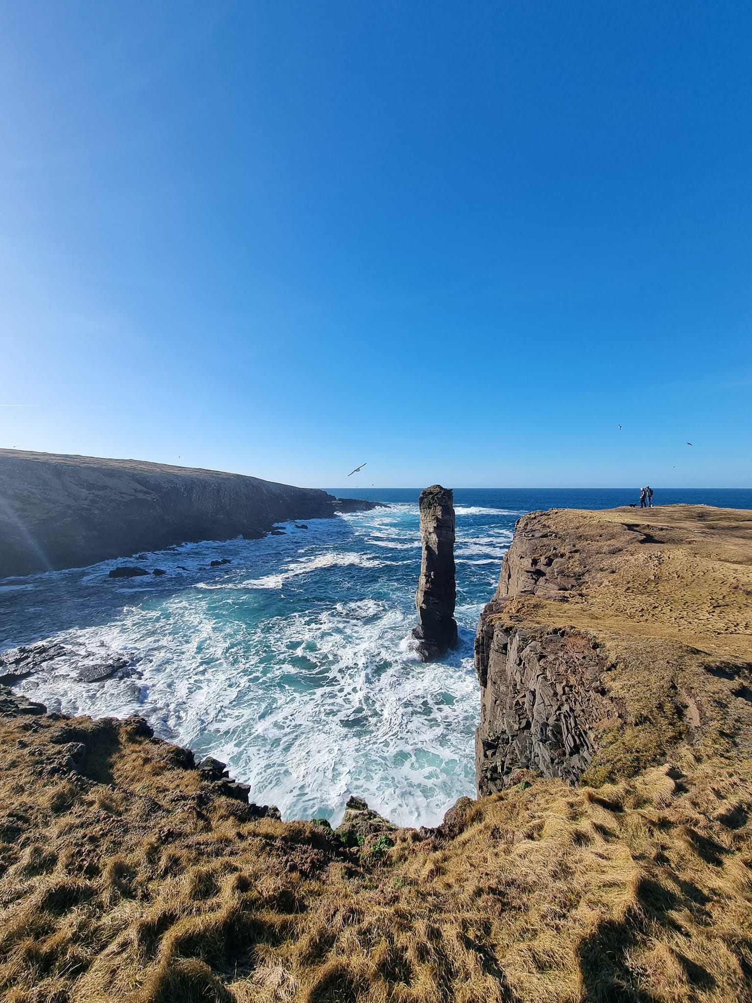 MLS Laser Workshop - Orkney | 19th April 2024